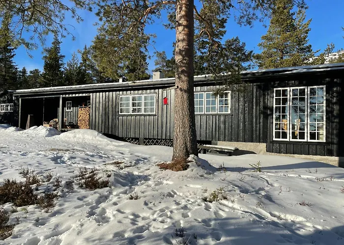 Modernized At Norefjell With View *